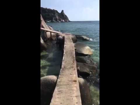 Freedom Beach And John Suwan Viewpoint Koh Tao