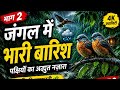 जंगल में भारी बारिश 🌧️ | पक्षियों का अद्भुत नज़ारा Part 2 | Relaxing Nature Video