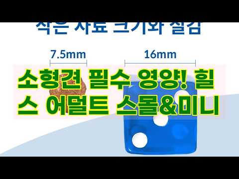 힐스 강아지사료 어덜트 스몰 앤 미니 1.5kg: 소형견 맞춤 영양 솔루션