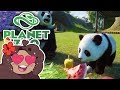 Birth of Our Baby PANDA!! 🐼 Daily Planet Zoo! • Day 9