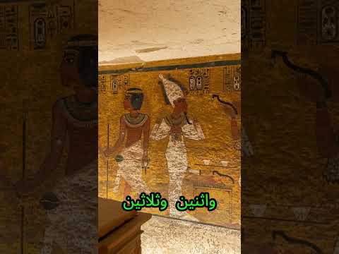 ملك عمره 12 سنة حكم مصر توت عنخ آمون 1332 ق م