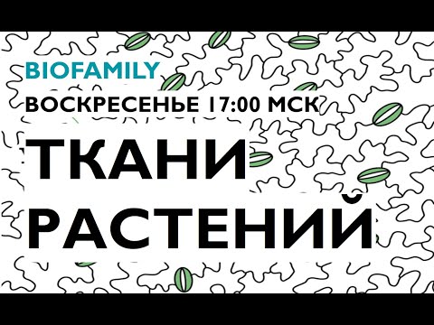 Ткани растений | BioFamily | Андрей Фрейдман