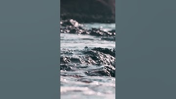 سورة الفلق ⁦❤️⁩ للقارئ محمد الفقيه