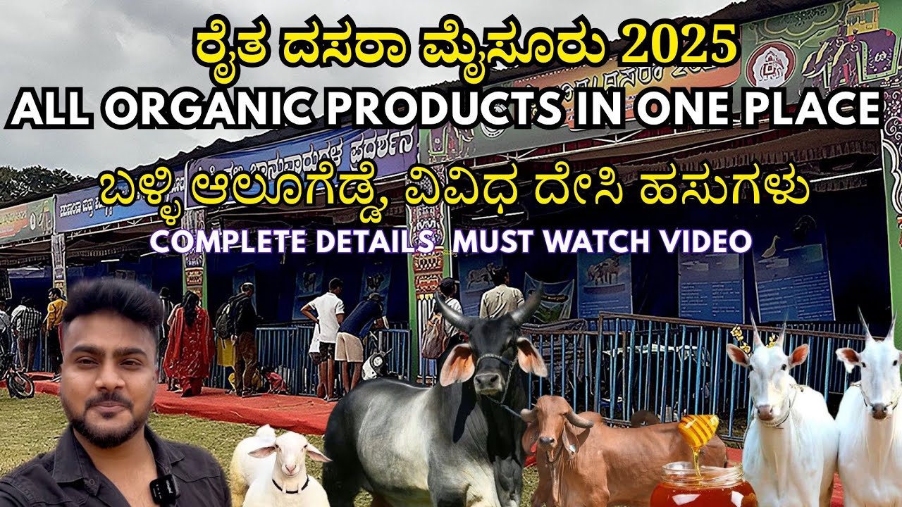 ರೈತ ದಸರಾ 2025 | ಬಳ್ಳಿಯಲ್ಲಿ ಆಲೂಗೆಡ್ಡೆ ಬೆಳದ ರೈತ, ವಿವಿಧ ದೇಸಿ ಹಸುಗಳು ಒಂದೇ ಕಡೆ | All organic products