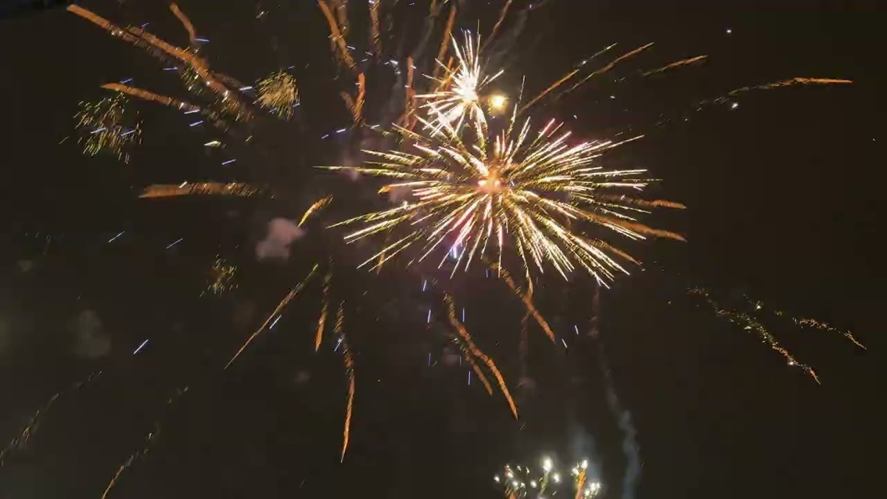 1.2'' dahlia Madness Crown 100SH + 50shots fortunes box ( dont ask :P )