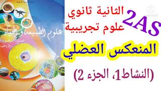 الدرس01 المنعكس العضلي|ثانية ثانوي علوم تجريبية (الجزء2)
