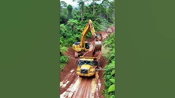 Excavator Digs Up Massive Snake Den! #excavator #snake #construction