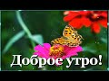 Доброе утро! Пусть сегодня будет лучше, чем вчера! Прямо сразу, прямо с самого утра! 🌞💖🌺🌺🌺🌺🌺🌺🌺🌺🌺🌺🌺🌺🌺