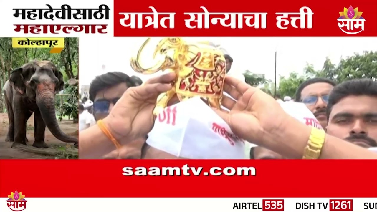 'आमची महादेवी आम्हाला परत द्या!'  सोन्याचा हत्ती डोक्यावर घेऊन ग्रामस्थांची अनोखी पदयात्रा |Kolhapur