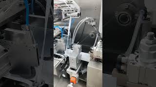Lihong Pack|Plaster Patch 4 Side Sealing and Packaging Machine with Flesible Auto Feeder Device
