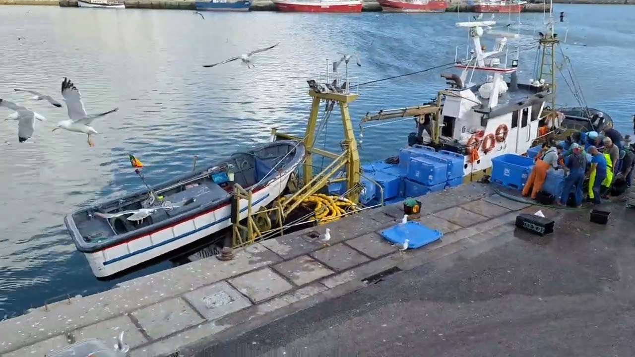 Barcos, Homens e Cais 11