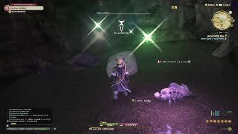 FFXIV - Honoring the Dead