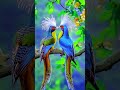 Music ASham Nature Music ASham Nature