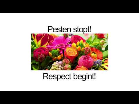 Respect Boks basisschool leerlingen 's-Hertogenbosch 2017