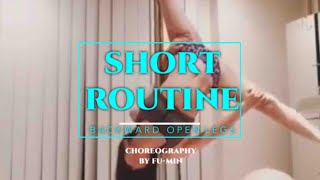 【Routine】ポールに後ろ向きで開脚してみた
