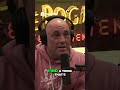 Joe Rogan &amp; MrBeast: Finding Obsession = Real Success 🔥 #joerogan #viral #shorts #podcast #mrbeast