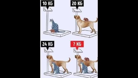 Brain test | Can you solve it | #mathriddles #iqtest #mathpuzzle #respect