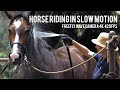 FreeFly WAVE camera test. Horse riding in slow motion.