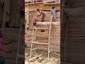 Gatar Shoring Work (गाटर शौरिंग वर्क) में पत्तरे (MS Sheets/Plates....