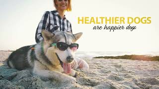 Pawlife Omega Pup Soft Chews | Relief for Itchy Skin, Shedding & Dull Coats screenshot 3