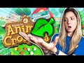 DOPO 4 ANNI TROVO l'oggetto PIU' RARO di ANIMAL CROSSING new horizons