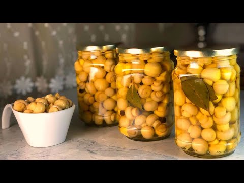 Быстрые маринованные шампиньоны. Лучшая закатка на зиму! Рецепт маринада грибов покорит всех!