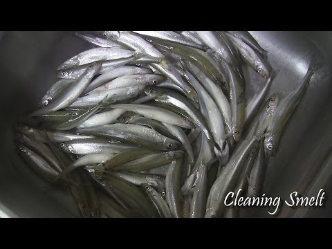 Video: How To Clean Smelt