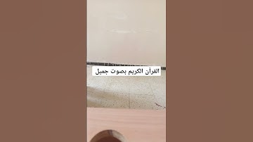 القرآن الكريم بصوت جميل #duet #القران_الكريم #اكسبلور #تيك_توك #المصحف #لايك