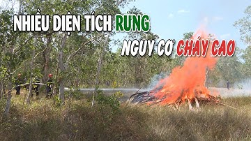 Cảnh báo cháy rừng cấp cực kỳ nguy hiểm, lực lượng căng mình ứng phó! | VTV CẦN THƠ