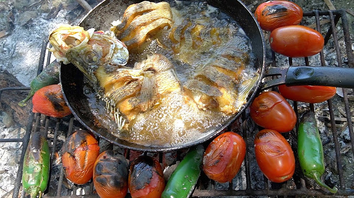 Pesca Y Cocina De Róbalos De Rio De Agua Dulce