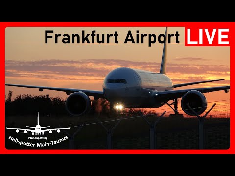 ★FRA★ LIVE 🔴 Ersatz/Spontan Planespotting Livestream