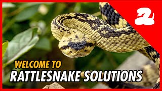Welcome To Rattlesnake Solutions Channel Trailer