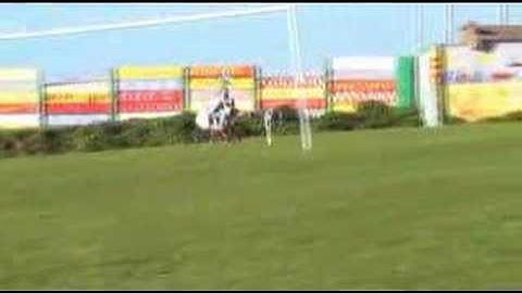 Align T-Rex First Flight