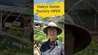 Daleys Fruit Tree Outlet Nursery is open #shorts #fruittreenursery