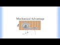 Mastering Mechanical Advantage in Levers and Force Calculations