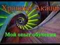 Хроники Акаши: мой опыт самостоятельного обучения