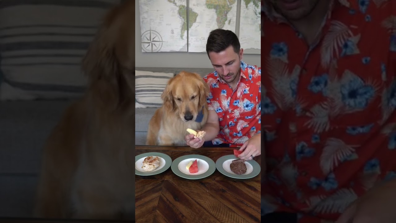 Dog picks favorite bbq food! goldenretriever dog YouTube