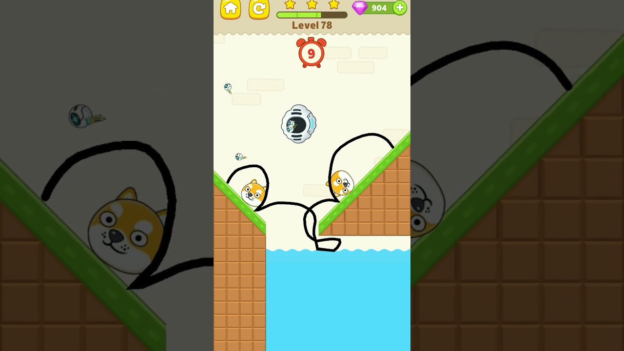 Save the dog game Level 78 
