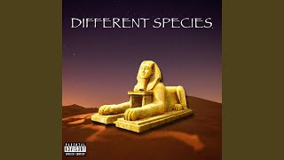 Different Species (feat. King.Bo.) - 9.0.1 MLK