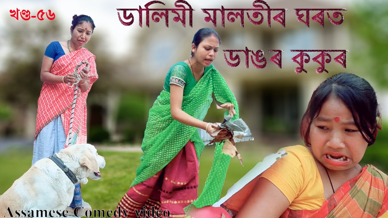Dalimi Maloti'r ঘৰত Big DOG (খণ্ড-৫৬)  | Assamese Funny video | Assamese Comedy video