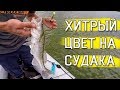 ХИТРЫЙ ЦВЕТ ПРОВОКАТОР НА СУДАКА, О КОТОРОМ ВЫ НЕ ЗНАЛИ! Ловля судака на джиг 2019