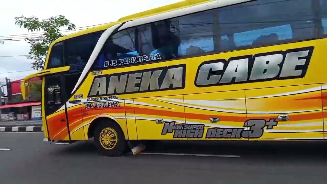 VLOGS❗🚍 BUS - MELINTAS JALAN RAYA - ARAH JALUR PANTURA