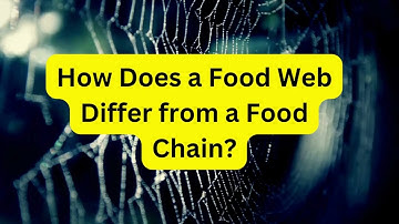 How Does a Food Web Differ from a Food Chain?