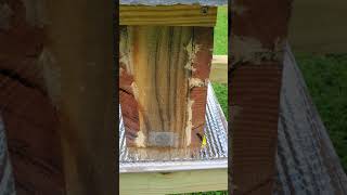 Deep Lang Mating Nucs Combining Barnyard Bees and Comfort Hive Engineering