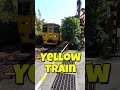 YellowTrain【なのはな号】【瀬々串踏切】を通過!Nanohana Yellow Train Passing👇 #shorts