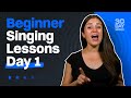 Vocal lessons  day 1  singing lessons for beginners  30 day singer