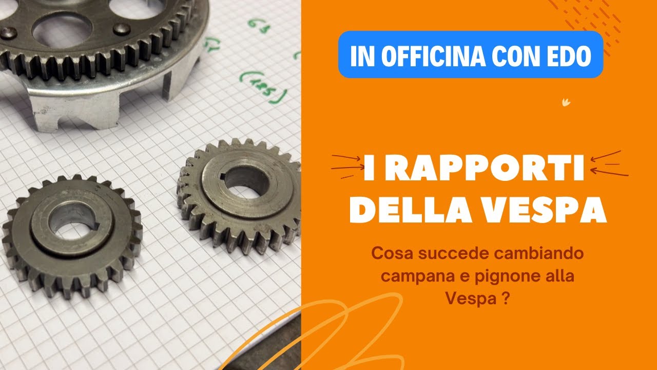 I rapporti della vespa