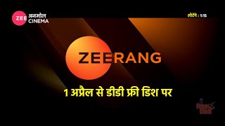 Zee Rang Channel Laounch From 1 April 2022 | DD Free Dish New Channel | Zee Rang First Look ?