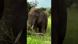 RD Congo cœur d'Afrique