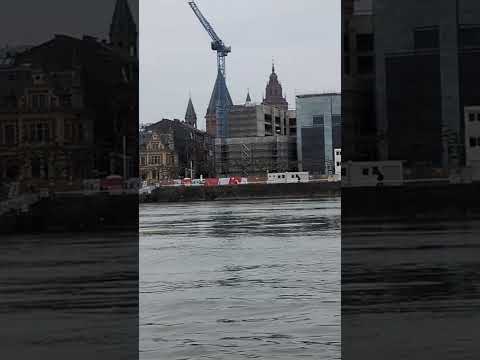 Viking Sigyn cruising
